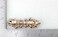 Faship Gorgeous Clear Rhinestone Crystal Floral Hair Barrette Clip