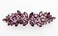 Faship Gorgeous Purple Rhinestone Crystal Floral Hair Barrette Clip