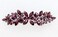 Faship Gorgeous Purple Rhinestone Crystal Floral Hair Barrette Clip