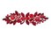 Faship Gorgeous Red Rhinestone Crystal Floral Hair Barrette Clip