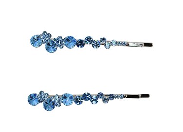 Faship A Pair Of Aqua Premium Rhinestone Crystal Floral Hair Clips Pins 2 Pcs