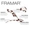 FRAMAR Cow Print Alligator Clips For Hair Styling - Cow Hair Clip For Women, Alligator Hair Clips For Women, Western Hair Clips, Cow Print Stuff, Cute Hair Clips For Styling, Hair Sectioning Clips &ndash; 4