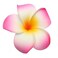 10 Pcs 5CM Artificial Hawaiian Plumeria Flower Hair Clips Hair Accessories for Beach Fancy Dress