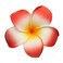 10 Pcs 5CM Artificial Hawaiian Plumeria Flower Hair Clips Hair Accessories for Beach Fancy Dress