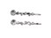Faship A Pair Of Clear Premium Rhinestone Crystal Floral Hair Clips 2 Pcs Pins - Clear