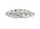 Faship Gorgeous Clear Premium Rhinestone Crystal Hair Barrette Clip