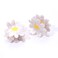 Flower Claw Clip Acrylic Daisy Sunflower Claw Hair Clip for Women Hair Jaw Grip Strong Holder for Thick Thin Hair (Daisy)