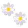 Flower Claw Clip Acrylic Daisy Sunflower Claw Hair Clip for Women Hair Jaw Grip Strong Holder for Thick Thin Hair (Daisy)