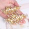 Wedding Hair Clips (2 Pcs) - Rhinestone Pearl Hair Accessories for Bridal Women (Gold)