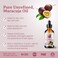 Bella Terra Oils - Maracuja Seed Oil 16oz - Cold-Pressed Purity from Passion Fruit Seeds, Infused with Essential Minerals &amp; Fatty Acids, A Beacon for Skin Care Enthusiasts