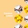 Everyone for Every Body EO Coconut Lemon Soap, 2 Fl Oz