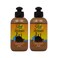 Silicon Mix Moroccan Argan Oil Leave-In Conditioner 8oz "Pack of 2