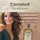 Tio Nacho Ultra Hydration Coconut Oil Conditioner: Anti-Hair Loss, Deep Nourishment, UV Protection, Frizz Control with Organic Coconut Oil &amp; Royal Jelly - 14 Oz (Pack of 3)