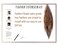 21 Natural Color Hair Feathers - 9&rdquo;- 14&rdquo; Long - Feathers for Hair Extension - DIY Kit - Eye-Catching Design - 20 Micro-link Beads - 100% Real Rooster Feathers - Professional Color Hair Feathers