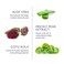 Naturopathica Aloe Vera Replenishing Gel Mask, Hydrating Face Mask Rich in Antioxidants, Cooling Facial Mask to Calm Redness &amp; Soothe Sensitive Skin, 1.69 fl oz