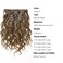 Loxxy Clip in Human Hair Extensions Natural Wave 16inch #P4/27 Dark Brown Mixed with Caramel Blonde Real Human Hair Extensions for Women Double Weft 120g/set 7Pcs/lot And 17 Clips Per Pack