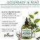 Difeel Rosemary and Mint Oil Root Stimulator with Biotin 2.5 oz. - Hair Growth Scalp Treatment
