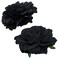 Large Floral Hair Accessory Set - Includes 4 Peony and 4 Rose Barrette Hair Clips for Flamenco Dance, Beach Party, Wedding (Black)