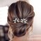 BETITETO Small Crystal Hair Accessories 2 Pieces Black White Rhinestone Silver Hair Comb Pins Pieces for Wedding Party