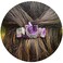 Hair Clip Sticks for Long Hair Stick Slide Irish Hair Accessories (Amethyst Clip)