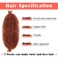 Marley Hair 14 Inch 7 Packs Ginger Marley Twist Braiding Hair Pre Separated Springy Afro Twist Hair Pre Fluffed Spring Twist Hair Natural Synthetic Cuban Twist Hair Extensions (14",350)