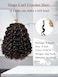 Gowit Gogo Curl Crochet Hair 8 Inch 6 Packs Short Curly Crochet Hair for Black Women Mixed Brown Deep Ocean Wave Crochet Hair Synthetic Crochet Braids (8inch,P1B/30)