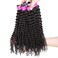 Yvonne Kinky Curly Human Hair Weave 3 Bundles Brazilian Virgin Hair Extension with Natural Color (12 14 16)