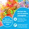 OIG Brands 1500 Pcs Mini Ponytail Holders   No Damage Rubber Bands   Tiny Toddler Hair Ties For Girls   No Pull 1 Inch (Multi-Color)
