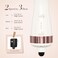 Dual Voltage 1.5 Inch Barrel Round Brush Blow Dryer, Hair Trends Negative Ionic One Step Volumizer Dryer, 4-in-1 Hot air Brush-2.8 Inch Include Bristles