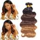 Ombre Body Wave Bundles Brazilian Virgin Human Hair Bundles Ombre Human Hair Extensions 3 Tone Mixed 1B/4/30 Color (14 16 18) Ombre Bundles Body Wave 3 Bundles