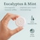 Gilden Tree Essential Oils Shower Steamers 100% Pure Eucalyptus Mint Long Lasting, Individually Wrapped, Spa Stress Relief Gifts for Women Made in USA