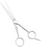Professional Hair Cutting Scissors Sharp Blades Hair Shears/Barber Scissors/Mustache Scissors Stainless Steel Hair Scissors 7" 6.5" 6" Haircut/Hairdresser For Kids, Men and Women (7 Inch)
