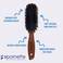 Spornette Deville Sculpting Hair Brush #343 Soft Boar Bristle, Wood Handle, Cushioned Smoothing Brush for Daily Maintenance, Finishing &amp; Adds Shine to Brush Outs and Blow Outs
