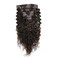 Deep Curly Deep Wave Brazilian Hair 100% Remy Human Hair Clip in Hair Extensions 20 Inches(50cm) 80g 7pcs/set Dark Brown