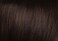 HairDo Trendy-Do Hair Wrap Color R6 DARK CHOCOLATE Up to 13" Long Tru2Life Heat Friendly Elastic Band Synthetic Updo Hairpiece