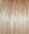 Raquel Welch Wig Hairpiece, Classic Cool, ss2361 by Hairuwear