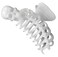 Gothic Skull Skeleton Ribcage Claw Horror Hair Clip (Glow in the Dark)