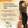 Kitsch Deep Moisturizing Coconut Oil Shampoo and Conditioner Set for Dry Damaged Hair, Hydrating &amp; Nourishing Solid Bar for Kinky, Curly, Coily &amp; Color Treated Hair, Sulfate &amp; Paraben-free, Made in US