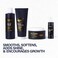 Scotch Porter Ultimate Beard Collection &ndash; Cleanse, Moisturize, Soothe &amp; Style while Encouraging Growth for a Fuller/Healthier-Looking Beard &ndash; Includes Wash, Conditioner, Oil, Balm, Brush &amp; Comb