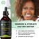 Moringa Oil - USDA Certified Organic, 100% Pure, Cold Pressed &amp; Unrefined Gluten Free Oil (2oz) - Natural Moisturizer for Skin, Face, Body &amp; Hair - Non-GMO &amp; Vegan