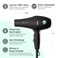 Professional Series Blackbird Infrared Ionic Hair Dryer with Diffuser by MINT   Extremely Quiet and Lightweight Blow Dryer with 1875 Watts of Salon-Grade Drying Power   Ceramic Tourmaline Pro Dryer