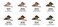 L.A. COLORS Browie Wowie Brow Pencil, Taupe CBP401
