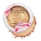 Physicians Formula Ros&eacute; All Day Highlighter Blush Face Powder Shimmer Petal Glow, Pink Freshly Picked, Dermatologist Tested, Clinicially Tested