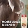 Old Spice Cleansing Body Wash for Men, 24/7 Shower Fresh with Lasting Scent, Moisturize &amp; Renew, Gentle on Skin, Vitamin B3, Sunrise with Peach + Mandarin Peel Scent, 18 oz