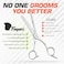Professional Thinning Shears 6 Inch with Extremely Sharp Blades, 440C Steel Thinning Scissors, Durable, Smooth Motion &amp; Fine Cut, Hair Scissors with Elegant Sheath, Cleaning Leather &amp; Key
