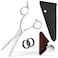 Professional Thinning Shears 6 Inch with Extremely Sharp Blades, 440C Steel Thinning Scissors, Durable, Smooth Motion &amp; Fine Cut, Hair Scissors with Elegant Sheath, Cleaning Leather &amp; Key
