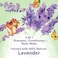 Suave Kids Natural Lavender Oil 3-in-1 Tear Free, Body Wash, Shampoo and Conditioners, No Sulfates, No Parabens, No Silicones, No Dyes, 16.5 Oz Pack of 4