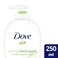 Dove Caring Hand Wash Cucumber &amp; Green Tea Scent   PH Balanced Scented Moisturizing Hand Soap for Working Hands and Dry Hands   8.45 Oz