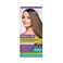 PLACENTA LIFE AMAZONIC EXOTIC LISS Vegan Brazilian Straightening Kit with Keratin and Hyaluronic Acid, Free of Formol and Parabens, 12 Weeks
