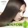 2 Pack Life Green Exo Shampoo for Thinning Hair Thickening 10.24 fl oz, Caffeine Biotin Scalp Deep Cleansing, Volumizing &amp; Improving, Heartleaf Extract, Women &amp; Men, All Skin Types